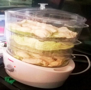 ravioli cinesi al vapore