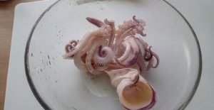 calamari farciti 