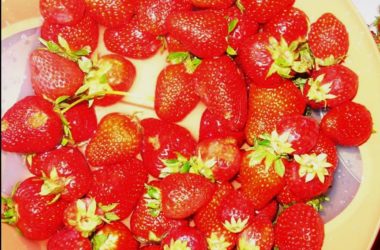 fragole